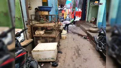 जहानाबाद में खुलेआम बिक रहा मांस-मछली और मुर्गा, सरकारी नियमों की उड़ रही धज्जियां