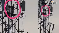 गोपालगंज में 80 फीट ऊंचे मोबाइल टावर पर चढ़ा युवक, मची अफरा-तफरी; अंधेरे में पुलिस का रेस्क्यू ऑपरेशन जारी