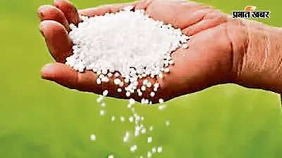 गया जी : खाद की कालाबाजारी करने वालों पर सख्ती, 25 लाइसेंस रद्द, दो दुकानदारों पर FIR दर्ज