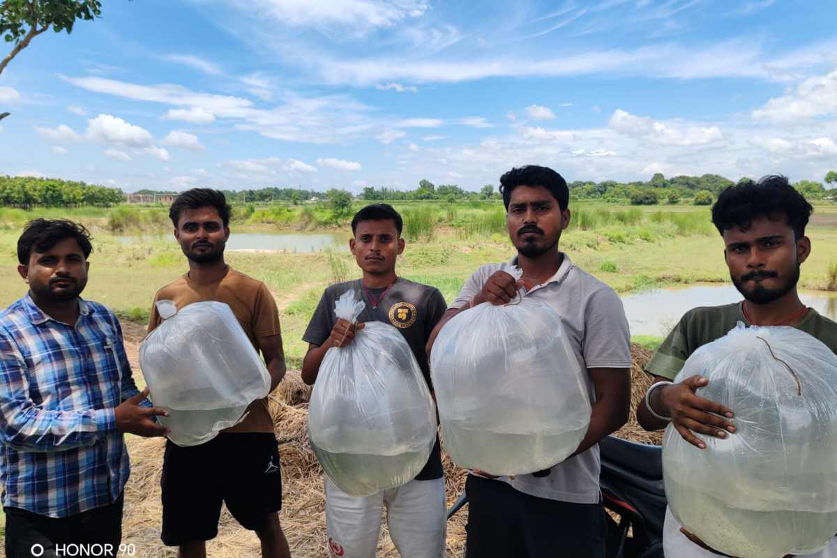 Madhubani Fish Farming: वैज्ञानिक तकनीक से मत्स्य पालन को बढ़ावा, जयंती रोहू और अमृत कतला से बढ़ेगी किसानों की आय