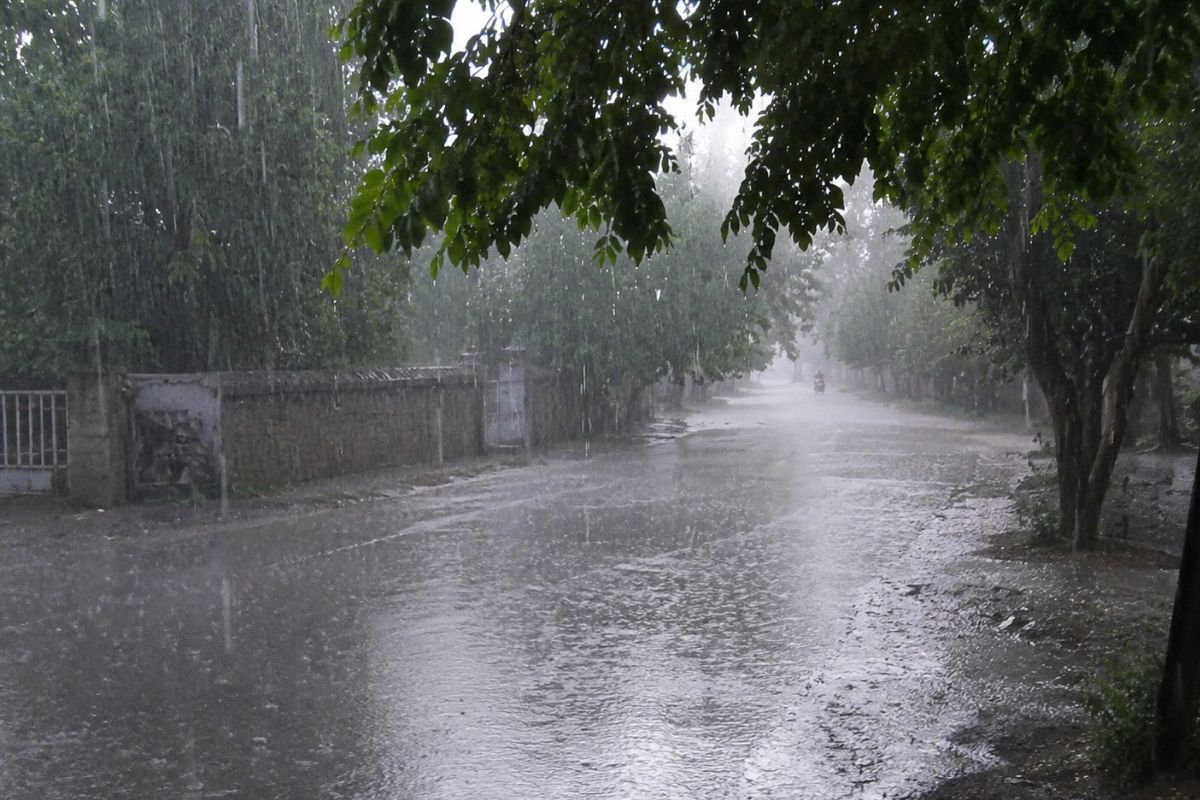 गोपालगंज में आज आंधी, बारिश और वज्रपात का अलर्ट, दोपहर बाद बदलेगा मौसम का मिजाज, IMD का एडवाइजरी जारी