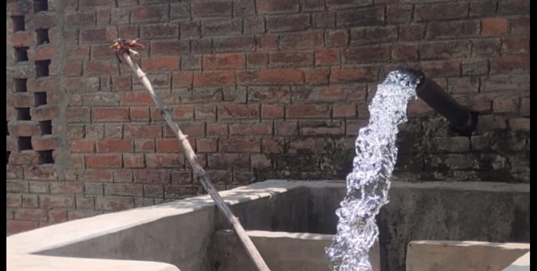 बक्सर में ट्यूबवेल और बारिश के भरोसे खेती कर रहे किसान, पानी नहीं मिलने से सूख रहे धान के बिचड़े