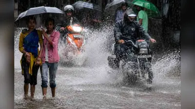 जून में 56% कम बारिश से धान की रोपनी प्रभावित, अब 5 जुलाई तक झमाझम बारिश का अलर्ट