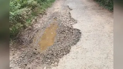 सेल और डालमिया प्लांट में घुसे जंगली हाथी, जान बचाकर भागे कर्मचारी, मचा हड़कंप