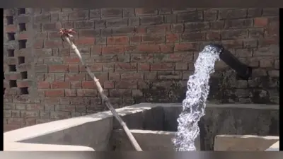 बक्सर में ट्यूबवेल और बारिश के भरोसे खेती कर रहे किसान, पानी नहीं मिलने से सूख रहे धान के बिचड़े