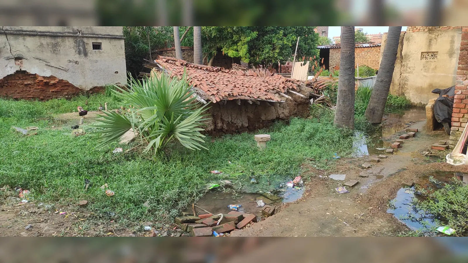 राजगीर में जलजमाव से उजड़ रहा महादलित टोला, दरक रहे घर; पलायन को मजबूर परिवार
