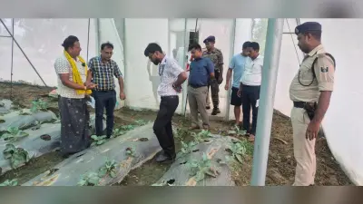 शेखपुरा में खेतों तक पहुंचे DM, किसानों की समस्याएं सुनीं, ड्रैगन फ्रूट खेती बढ़ाने पर दिए निर्देश