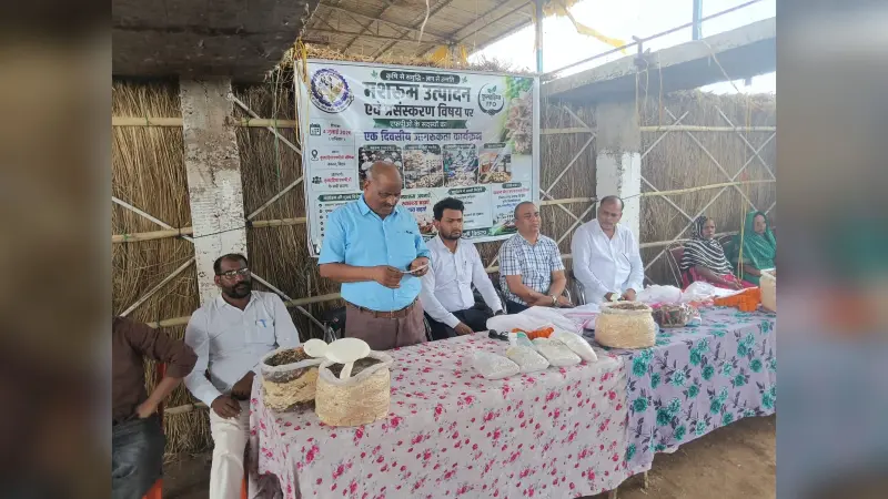 बक्सर में मशरूम खेती की ट्रेनिंग: किसान और महिलाएं बढ़ रही सेल्फ इंडिपेंडेंट की ओर; कुल्हड़िया के एफपीओ में जुटे सैकड़ों लोग