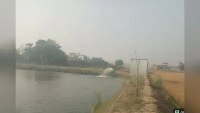 नालंदा : मत्स्य पालन से युवाओं को मिलेगा रोजगार, सरकार दे रही 60% तक अनुदान और हैचरी योजना का लाभ