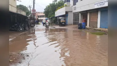 लाखों खर्च के बाद भी बदहाल घाटशिला, जाम नालियां, सड़कों पर जलजमाव और कचरे के ढेर से लोग परेशान