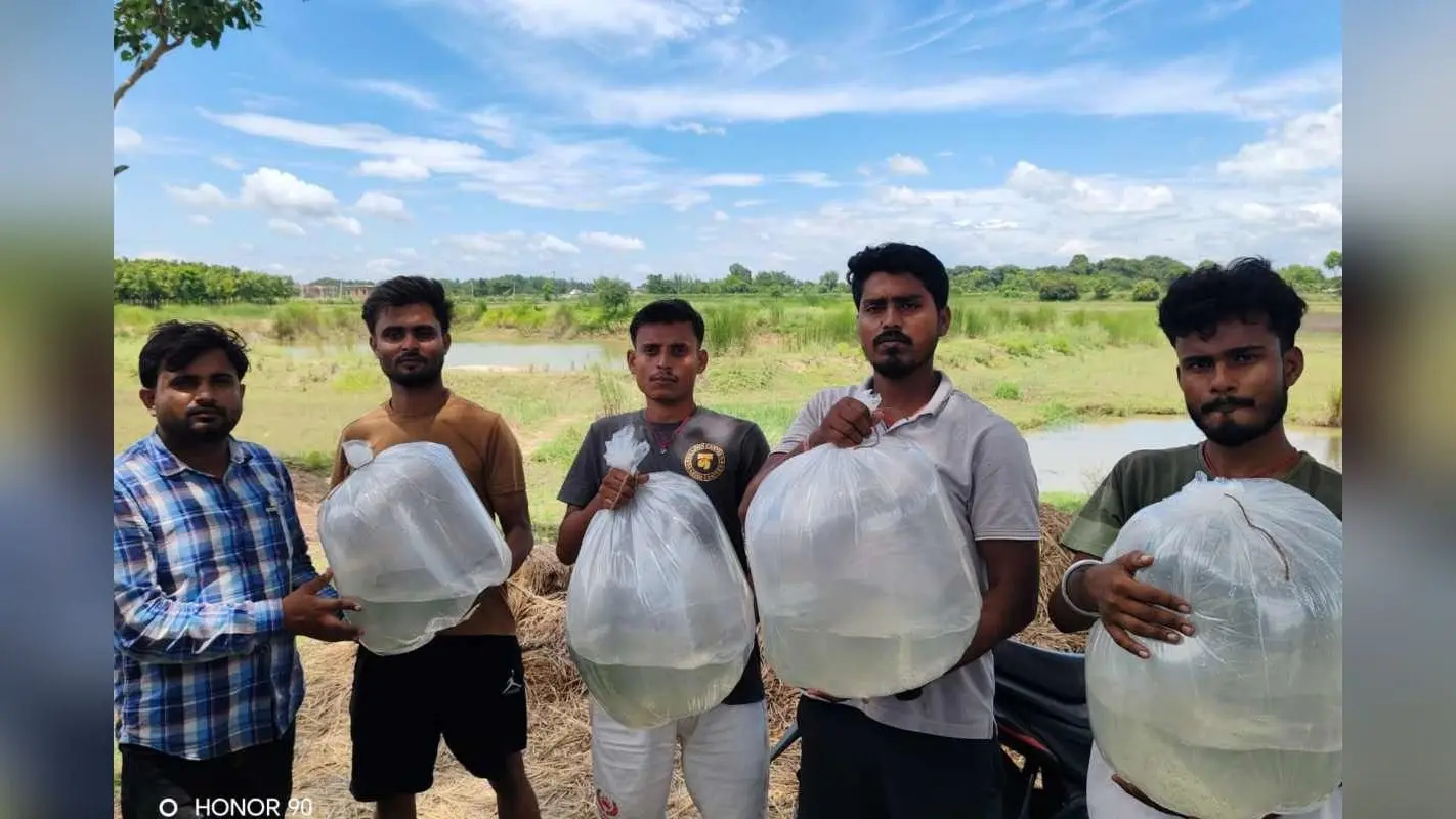 Madhubani Fish Farming: वैज्ञानिक तकनीक से मत्स्य पालन को बढ़ावा, जयंती रोहू और अमृत कतला से बढ़ेगी किसानों की आय