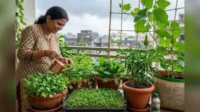 बारिश में सबसे आसानी से उगती हैं ये 5 सब्जियां, छत या बालकनी में भी मिलेगा शानदार रिजल्ट