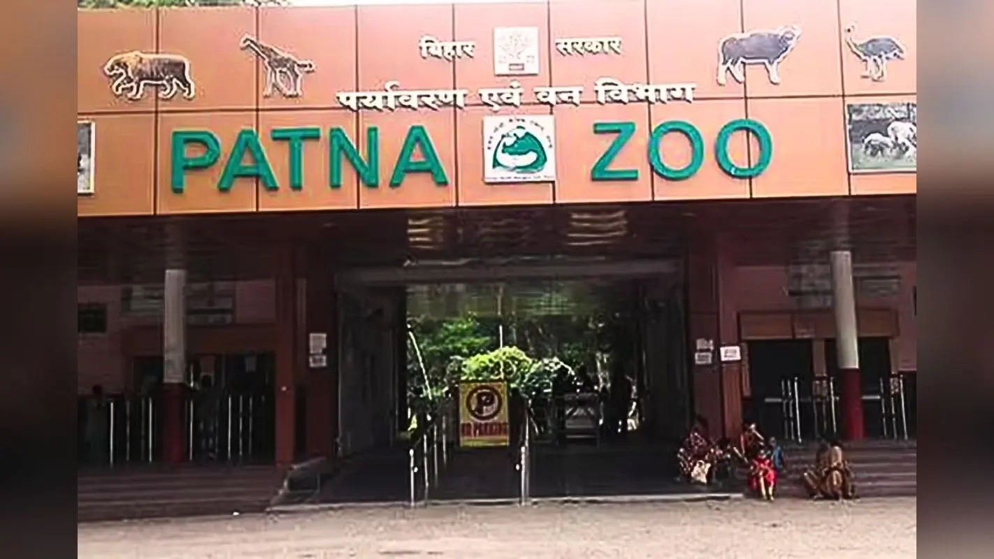 पटना जू में आने वाले हैं तीन नए मेहमान, बच्चों के साथ घूमने की कर लें तैयारी, मैसूर से आ रहा है जिराफ