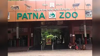 पटना जू में आने वाले हैं तीन नए मेहमान, बच्चों के साथ घूमने की कर लें तैयारी, मैसूर से आ रहा है जिराफ