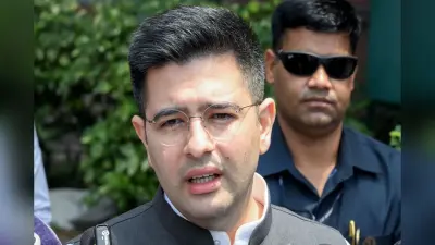 राघव चड्ढा के खिलाफ ‘डिजिटल साजिश’ पर कोर्ट सख्त, सोशल मीडिया से अपमानजनक कंटेंट हटाने का आदेश
