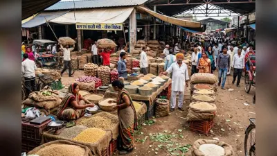 दालपट्टी मंडी में थमी उतार-चढ़ाव की रफ्तार, जानें आज क्या रहे अनाजों के रेट