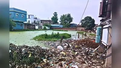 अधूरे नाले और अतिक्रमण से शहर बेहाल, जलजमाव और कीचड़ बनी सबसे बड़ी समस्या
