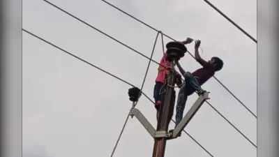 बांका-अमरपुर 33 केवी हाई-टेंशन लाइन की मरम्मत शुरू, बिजली व्यवस्था होगी और बेहतर