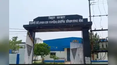 बांका में 8 जुलाई को लगेगा रोजगार शिविर, 55 पदों पर होगी भर्ती