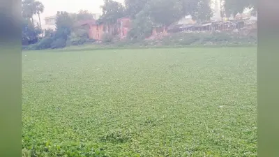 कभी राहगीरों और मवेशियों की प्यास बुझाता था यह तालाब, अब कूड़े का ढेर बनकर खो रहा अपना अस्तित्व