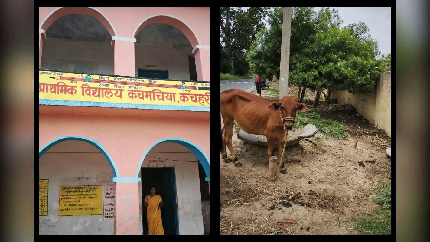स्कूल व आंगनबाड़ी परिसर बना मवेशी बांधने का अड्डा, गंदगी से बच्चों की बढ़ी परेशानी