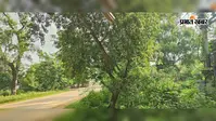 चेनारी–कुदरा स्टेट हाईवे पर सड़क किनारे उगी झाड़ियां बनीं हादसों का कारण, हर पल दुर्घटना का बना रहता है खतरा