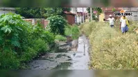 रोहतास: अकोढ़ीगोला के धरहरा सूर्यमंदिर रोड पर एक साल से बह रहा नाली का पानी, श्रद्धालु और ग्रामीण परेशान