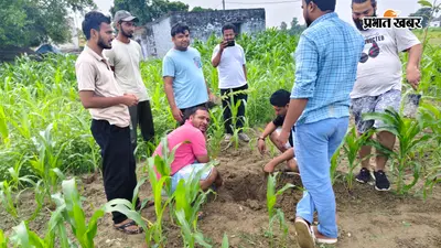 सीवान के इस गांव में पर्यावरण बचाने की अनोखी पहल, ग्रामीणों ने लगाए 40 पौधे, लिया संकल्प