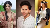 न कोई हिंट, न कोई तैयारी...एक झटके में छिन गया हिट शो, अचानक सीरियल से बाहर हुए ये सितारे