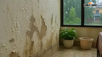 सीलन ने बिगाड़ दी दीवारों की खूबसूरती? मानसून में अपनाएं ये स्मार्ट ट्रिक्स