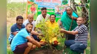 पर्यावरण संरक्षण के लिए राष्ट्रीय स्तर पर सम्मानित तरु मित्र एवं ग्रीन एंबेसडर बिहार, फलदार पौधे और बांटी तुलसी