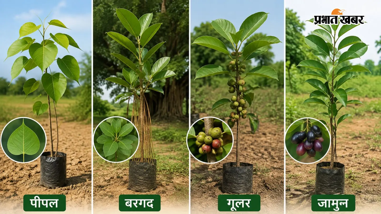 AI इमेज. प्रभात खबर AI इमेज. प्रभात खबर