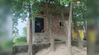 सिमरी बख्तियारपुर के वार्ड 28 में फिर चोरी, नकद और जेवरात समेत मोबाइल ले उड़े बदमाश