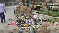 राजगीर में नगर परिषद कर्मियों की हड़ताल से शहर बेहाल, सड़कों पर कचरे का अंबार; पेयजल समेत कई सेवाएं प्रभावित