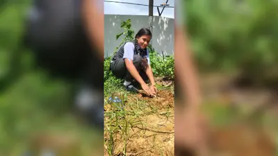 फ्रेंडशिप डे पर राज इंटरनेशनल स्कूल में पौधारोपण, विद्यार्थियों ने लिया पर्यावरण संरक्षण का संकल्प