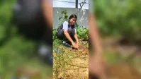 फ्रेंडशिप डे पर राज इंटरनेशनल स्कूल में पौधारोपण, विद्यार्थियों ने लिया पर्यावरण संरक्षण का संकल्प