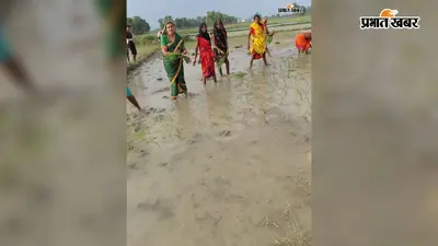 पैक्स अध्यक्ष आशा देवी ने मजदूर महिलाओं के साथ की धान की रोपाई, किसानों का बढ़ाया हौसला