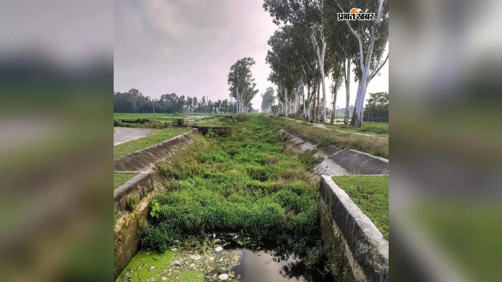 जुलाई अंत तक पानी छोड़ने का मिला था आश्वासन, अब तक सूखी पड़ी हैं नहरें | Prabhat Khabar Network जुलाई अंत तक पानी छोड़ने का मिला था आश्वासन, अब तक सूखी पड़ी हैं नहरें | Prabhat Khabar Network
