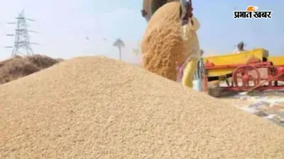 भोजपुर : तियर पैक्स में 43.80 लाख रुपये के धान गबन का आरोप, अध्यक्ष समेत 13 लोगों पर FIR की तैयारी