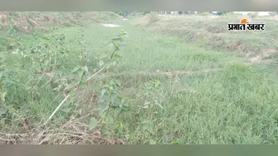 सावन में बारिश की बेरुखी से धान पर संकट, सूखने लगे खेत, बाराहाट के किसान राहत व बारिश का कर रहे इंतजार