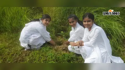 पुपरी: गुरुकुल विद्या मंदिर के छात्रों ने गौशाला परिसर में चलाया पौधारोपण अभियान