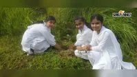 पुपरी: गुरुकुल विद्या मंदिर के छात्रों ने गौशाला परिसर में चलाया पौधारोपण अभियान