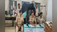 बायसी में पुलिस की बड़ी कार्रवाई, दालकोला से ऑटो में लाया जा रहा 1.340 किलो स्मैक जब्त; बंगाल के 3 तस्कर गिरफ्तार
