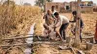 खेत में पटवन के दौरान करेंट की चपेट में आए किसान की मौत, बिजली मोटर में तार जोड़ते समय हुआ हादसा