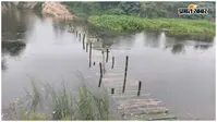 दरभंगा में कमला नदी का जलस्तर बढ़ते ही बह गया चचरी पुल, दर्जनों गांवों का संपर्क टूटा