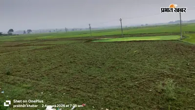 डुमरी में सूखे की चपेट में हजारों एकड़ खेत, पानी की कमी के कारण धान की रोपाई नहीं कर पा रहे किसान