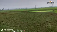 डुमरी में सूखे की चपेट में हजारों एकड़ खेत, पानी की कमी के कारण धान की रोपाई नहीं कर पा रहे किसान