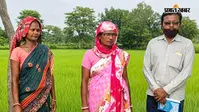पश्चिमी सिंहभूम की पदमा महतो बनीं आत्मनिर्भरता की अद्भुत मिसाल, धान की खेती से कर रहीं बंपर कमाई