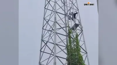 पत्नी को साथ रखने की मांग पर युवक मोबाइल टावर पर चढ़ा, चार घंटे चला हाई-वोल्टेज ड्रामा
