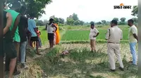 Madhubani News: हरलाखी में धान के खेत से युवक का शव बरामद, जांच में जुटी पुलिस